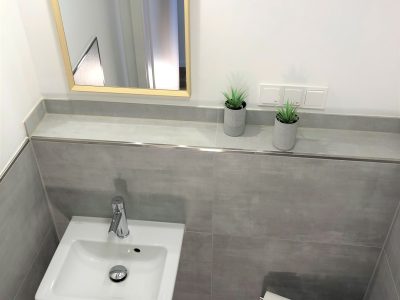 Gäste WC Flat 0.4