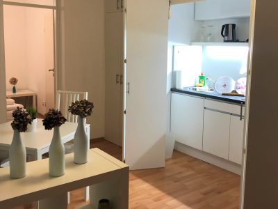 Küche Flat 1.1/2.1